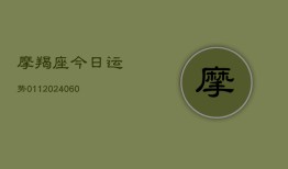 摩羯座今日运势011(20240613)