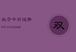 双子今日运势6月12日(6月22日)