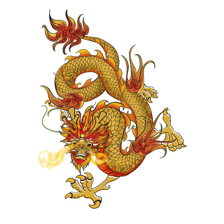 2024的龙是木还是火（2024龙年五行属性）  第1张